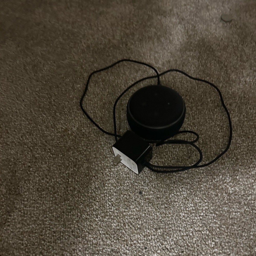 Echo dot